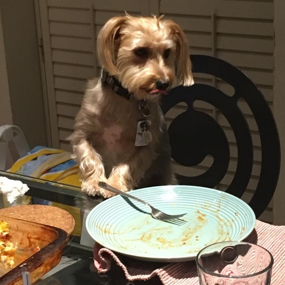 Meet your Posher, Michelle - Picture 3 of 16